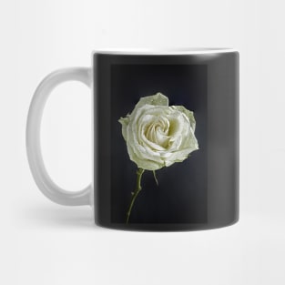 Single White Rose with Raindrops and Black Background Mug